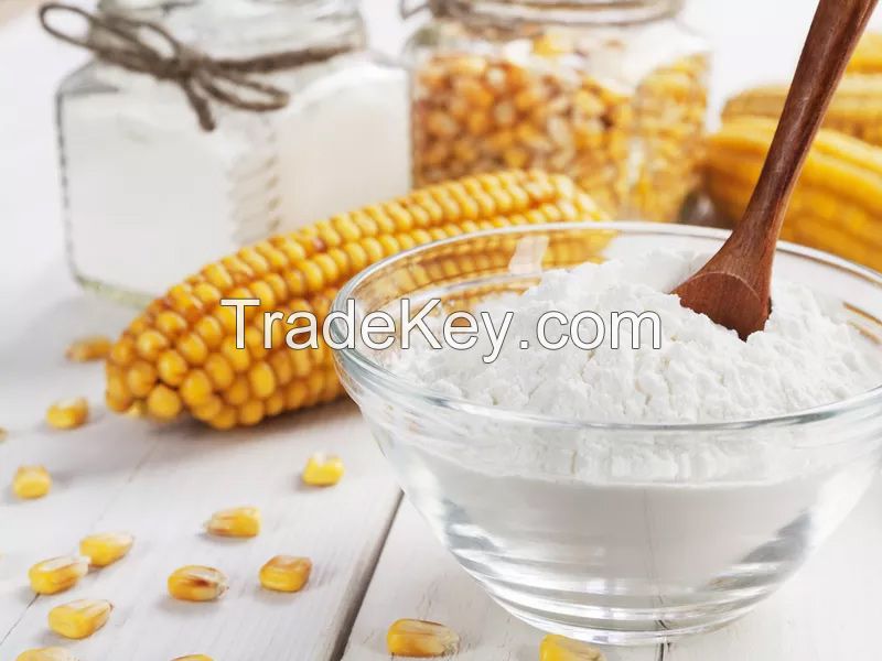 Best modified Corn Starch wholesale