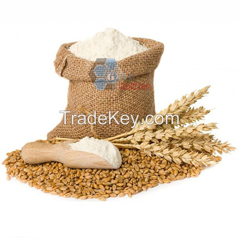 Dried Vital Wheat Gluten Flour