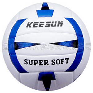 Volleyball (VL2001)
