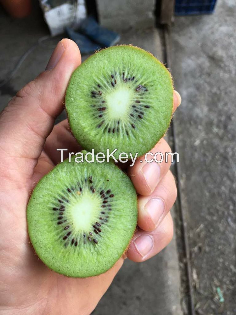 Kiwi