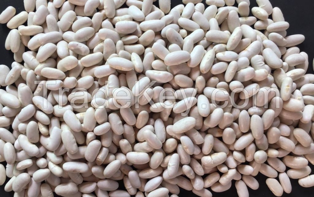 Alubia beans (white kidney)