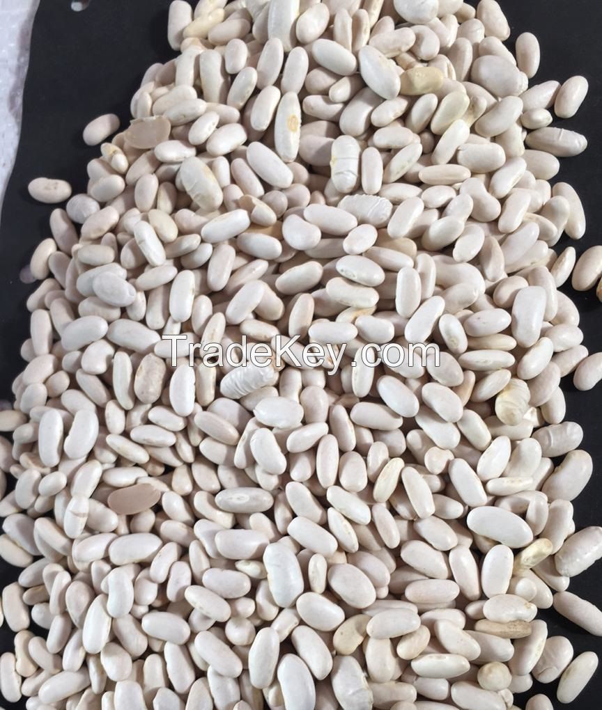 Alubia beans (white kidney)