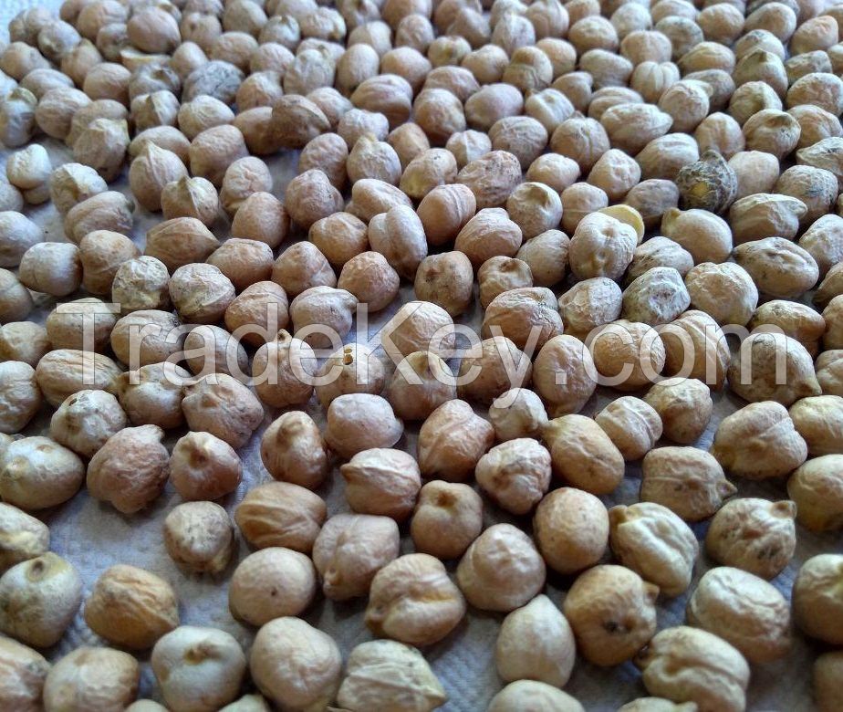 Chickpeas