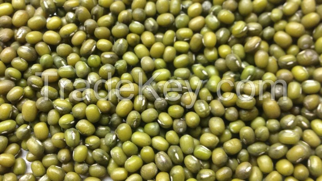 Mung Beans