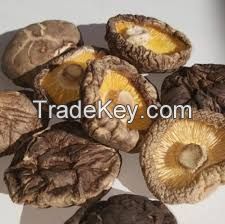 Dried mushrooms