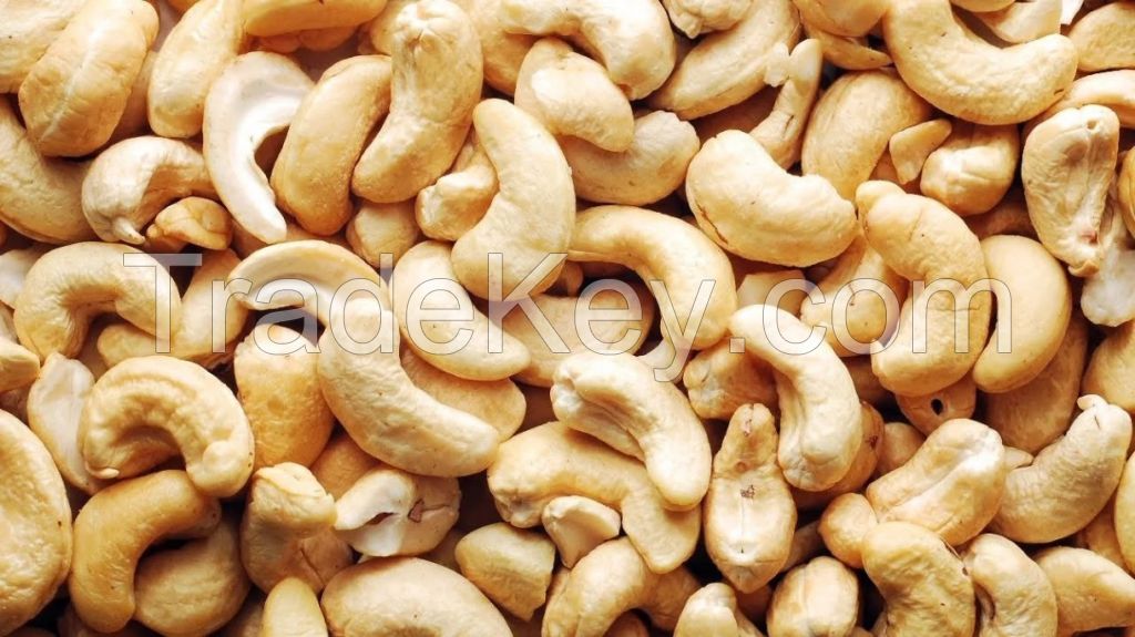 Cashew Nut