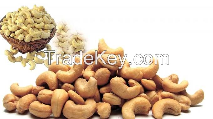 Cashew Nut