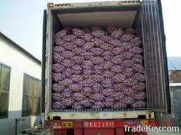 Sell   garlic (skype:wzm103)