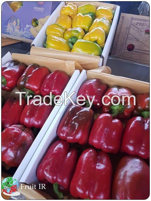 Fresh Top Quality Bell Pepper, Sweat Pepper, Capsicum