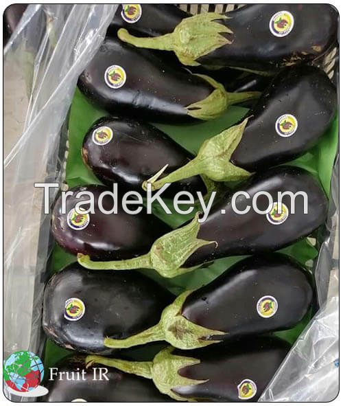 Top Iranian Eggplant (Long eggplant, Round eggplant, Baby eggplant)