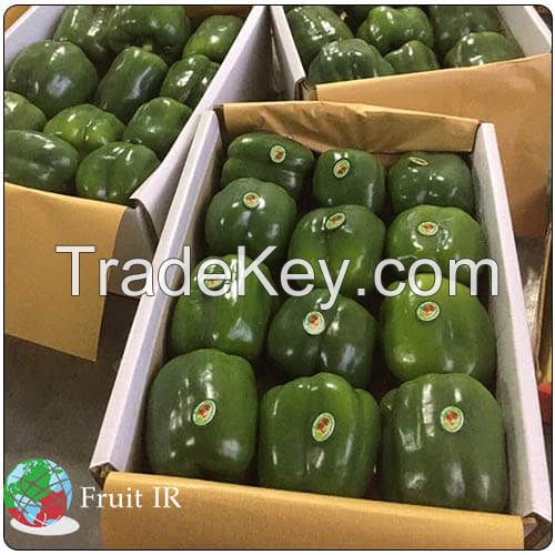 Fresh Top Quality Bell Pepper, Sweat Pepper, Capsicum