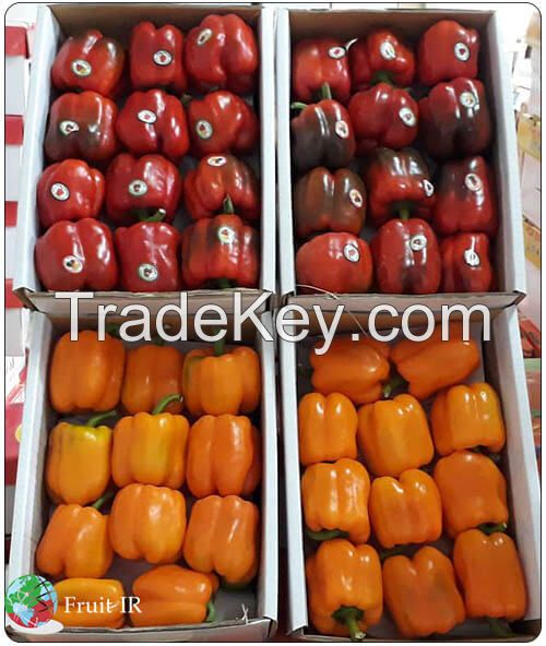 Fresh Top Quality Bell Pepper, Sweat Pepper, Capsicum