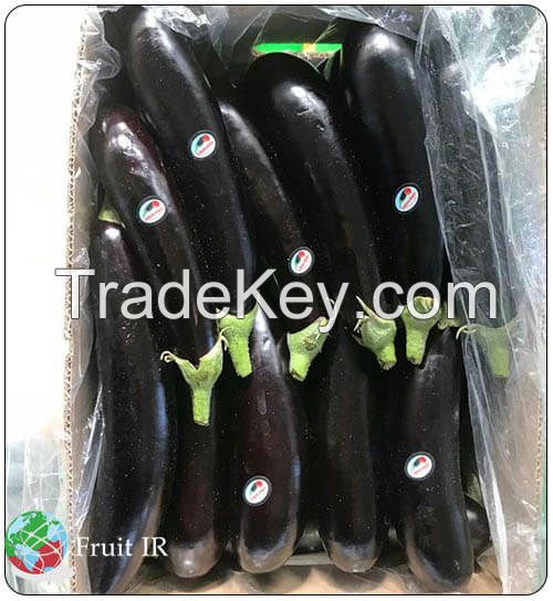 Top Iranian Eggplant (Long eggplant, Round eggplant, Baby eggplant)