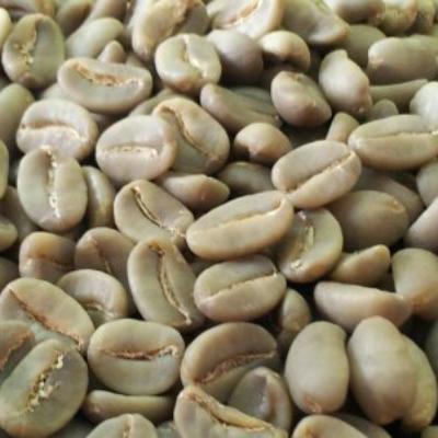 Arabica Coffee Beans