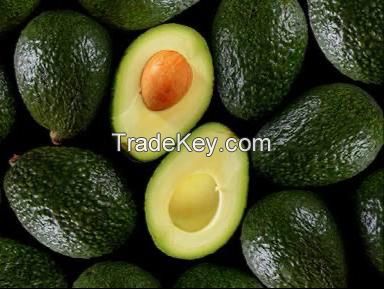 Avocados/ Aguacates