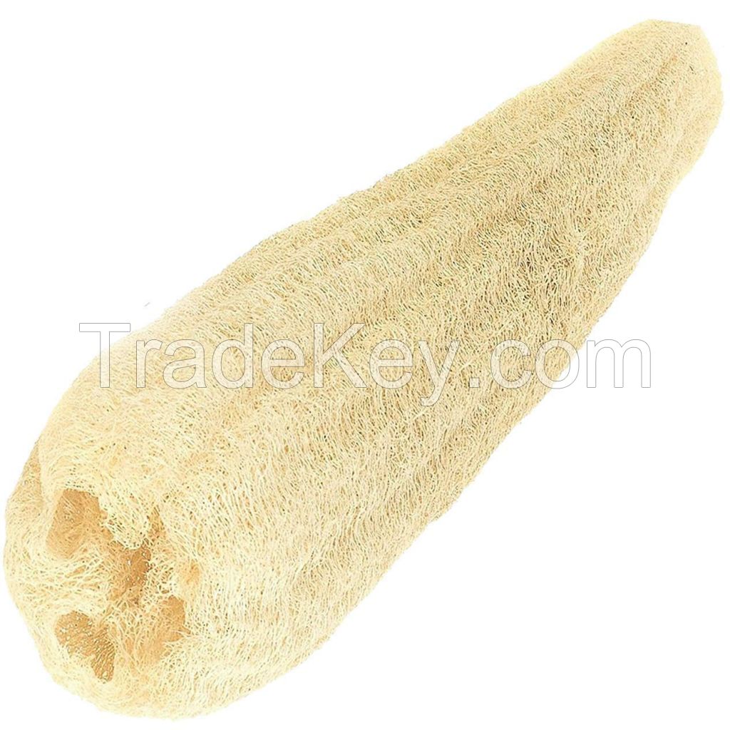 Egyptian Loofah Sponge