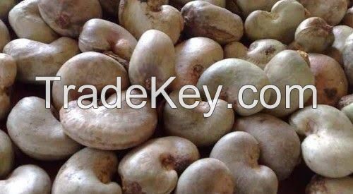 DRY CASHEW NUTS