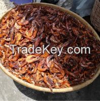 Dried Crayfish | Sea foods