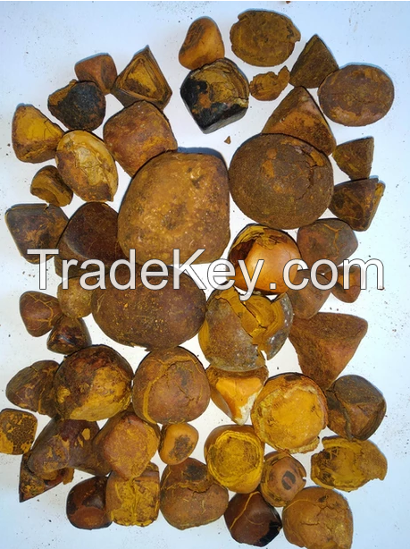 Ox gallstones