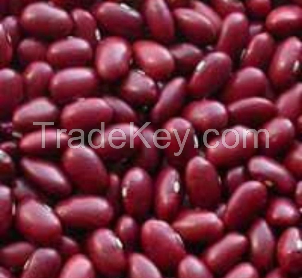 CHEAP RED KIDNEY BEANS AND  BLACK KIDNEY BEAN