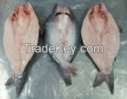 WE SUPPLY PANGASIUS WELLTRIMMED,UNTRIMMED,,STEAK,HGT,WR,BUTTERFLY WITH GOOD PRICE