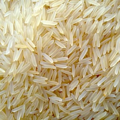 Yellow corn, all Basmati, non-Basmati and non-pesticides rice, Pulses, Indian Spices