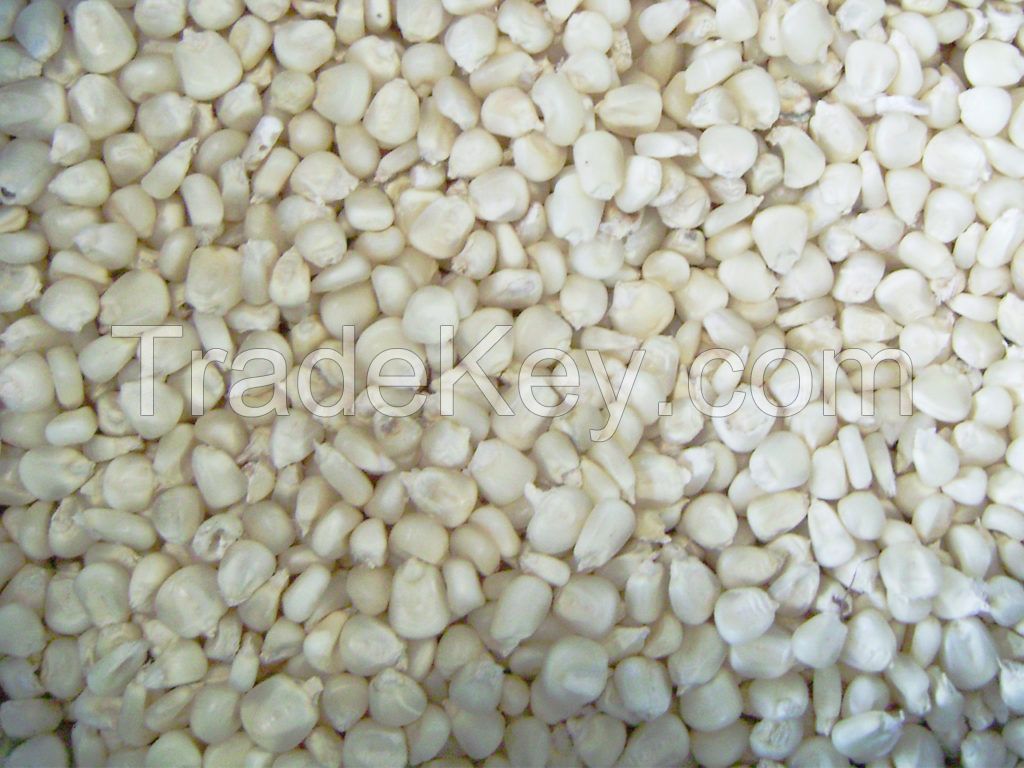 White maize