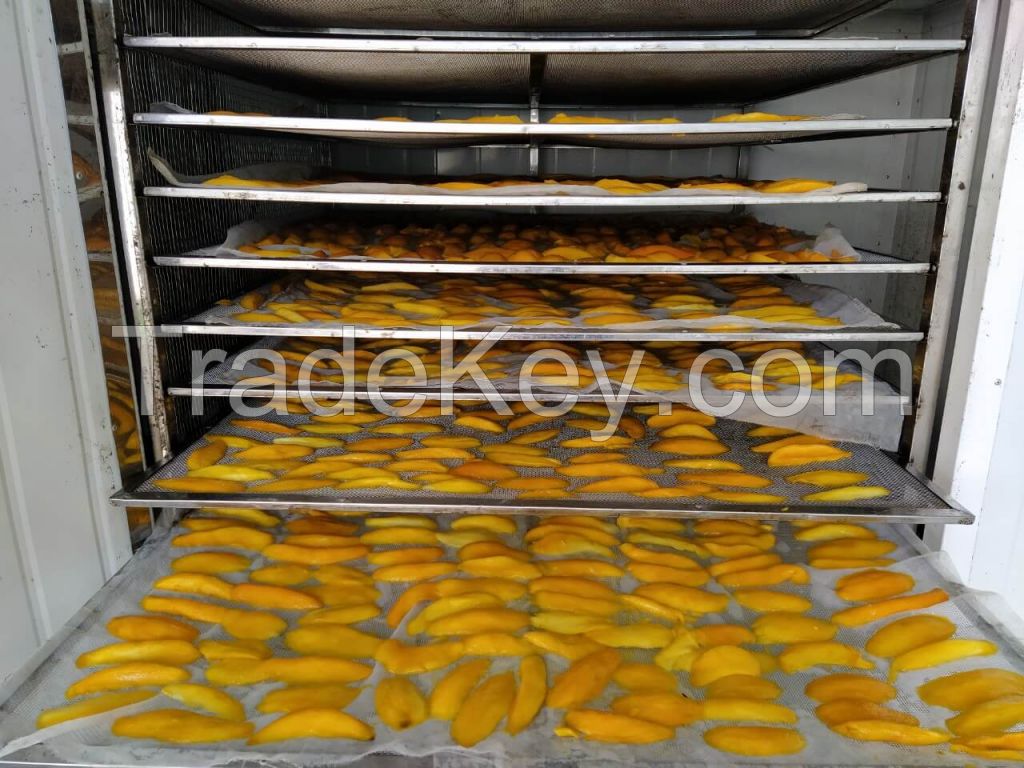 Soft Dried Mango