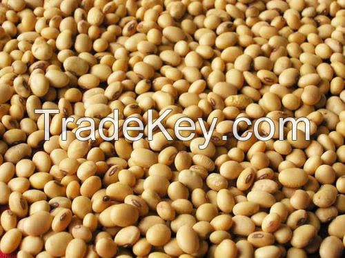 nigeria quality organic  Soya Beans