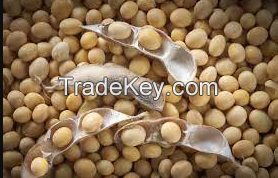 nigeria quality organic  Soya Beans