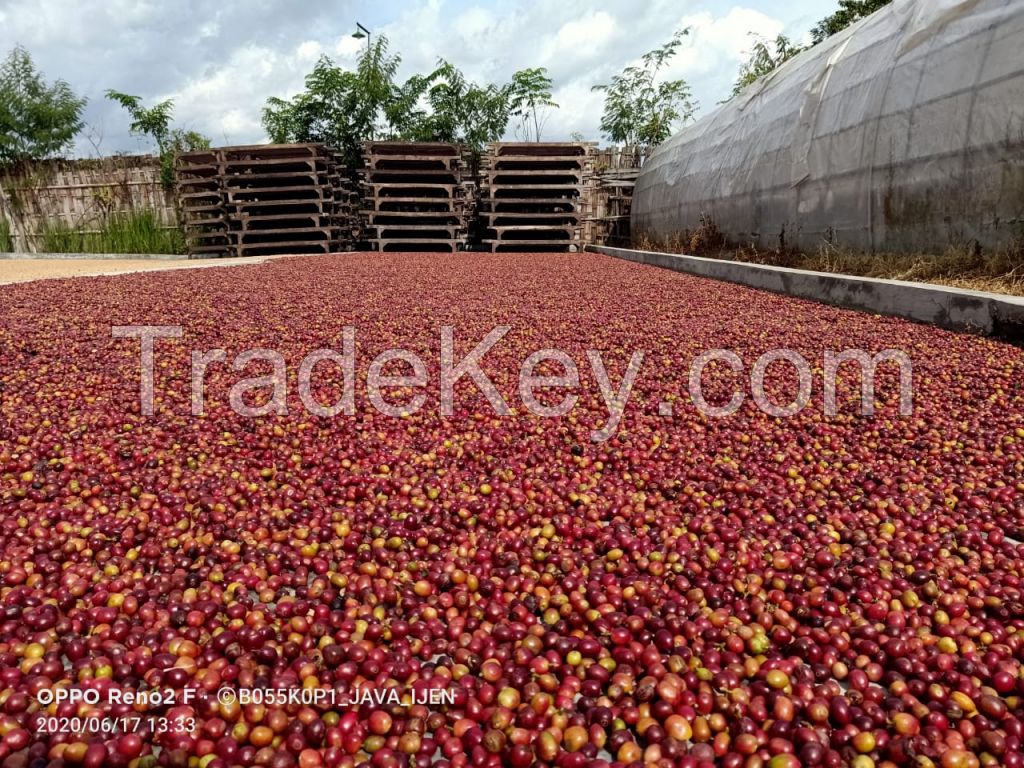 Coffee beans from indonesia