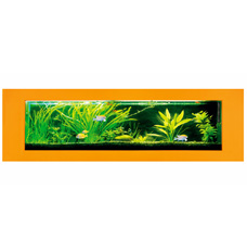 Relaxsea Wall Mounted Fish Tank