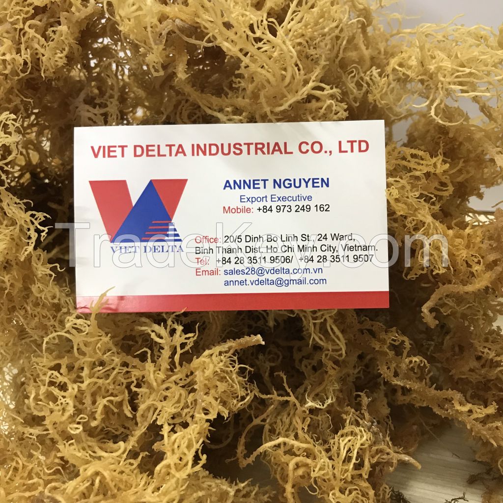 100% Dried Pure Organic Seamoss/ IRISH MOSS SEAWEED / Annet Nguyen +84 973 249 162 