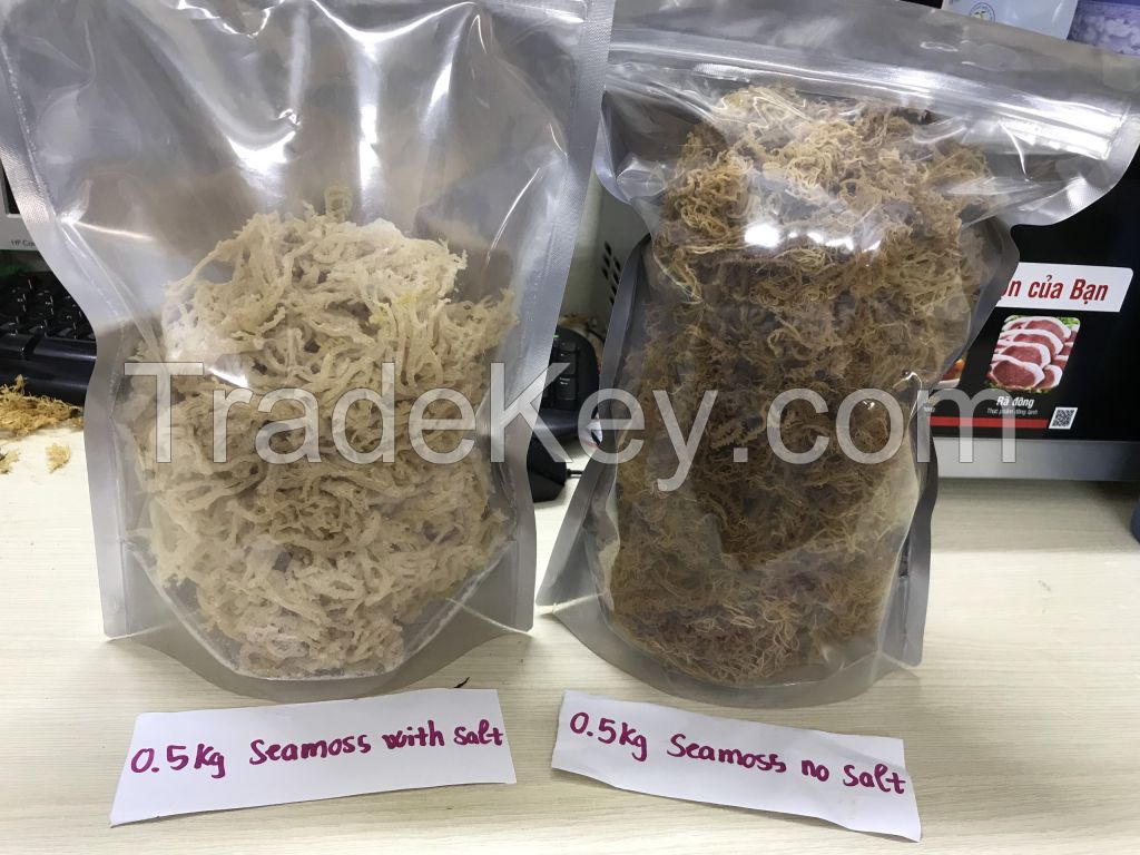 Dried Sea Moss - Premium 100% Natural - Fresh Irish Moss / Annet Nguyen +84 973 249 162 