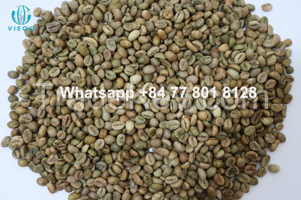 Vietnam Robusta green beans - S16, 18 - Grade 1 - Viego Global - Whatsapp +84 77 801 8128