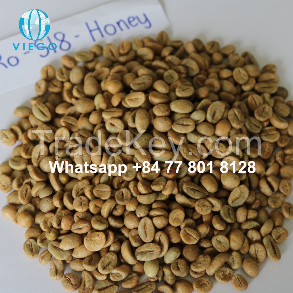 Vietnam Robusta green beans - S16, 18 - Grade 1 - Viego Global - Whatsapp +84 77 801 8128