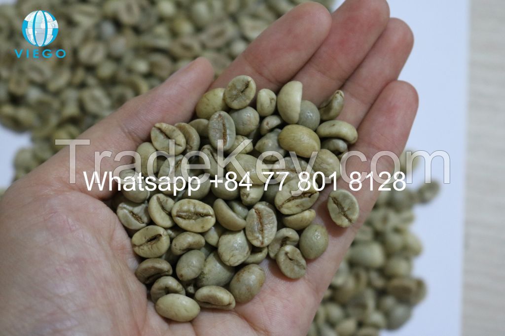 Vietnam Robusta green beans - S16, 18 - Grade 1 - Viego Global - Whatsapp +84 77 801 8128