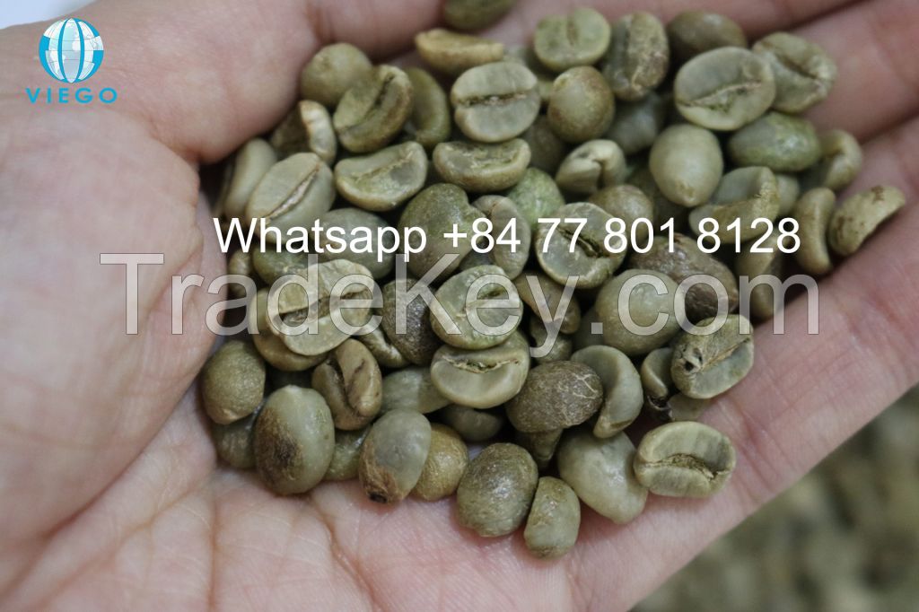 Vietnam Arabica green beans - S16,18 - Grade 1 - Viego Global - Whatsapp +84 77 801 8128