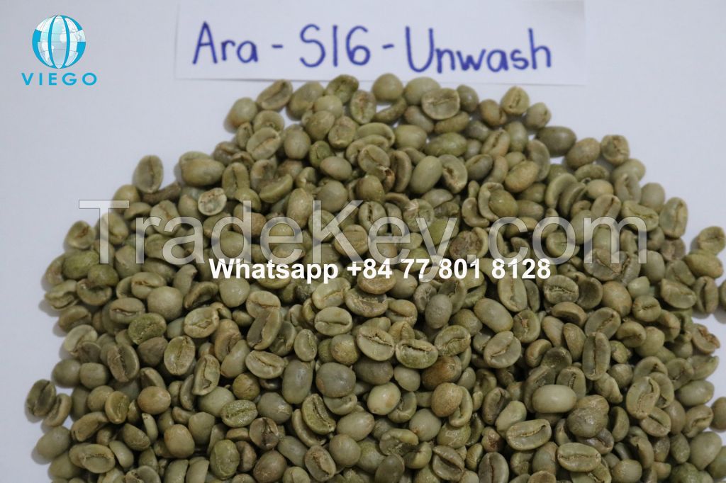 Vietnam Arabica green beans - S16,18 - Grade 1 - Viego Global - Whatsapp +84 77 801 8128