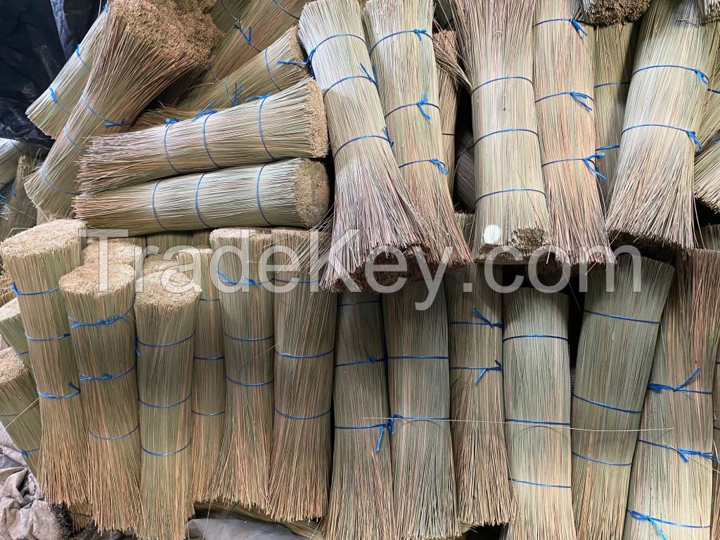 African Broom Grass