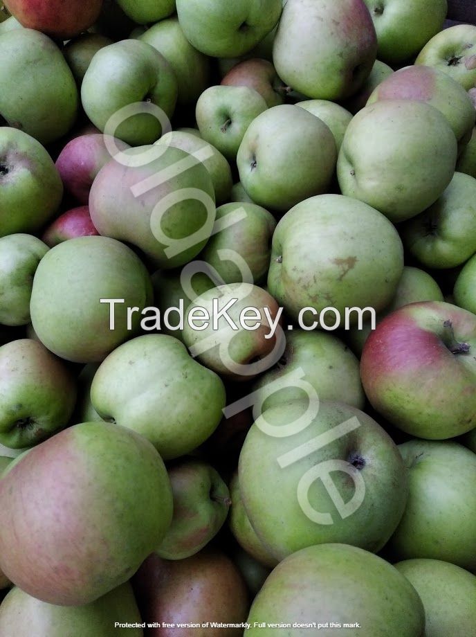 Organic apples bio eco with low sugar content for diabetics