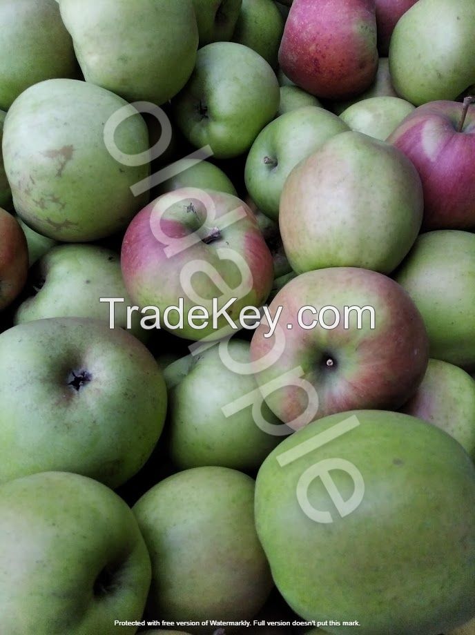 Organic apples bio eco with low sugar content for diabetics