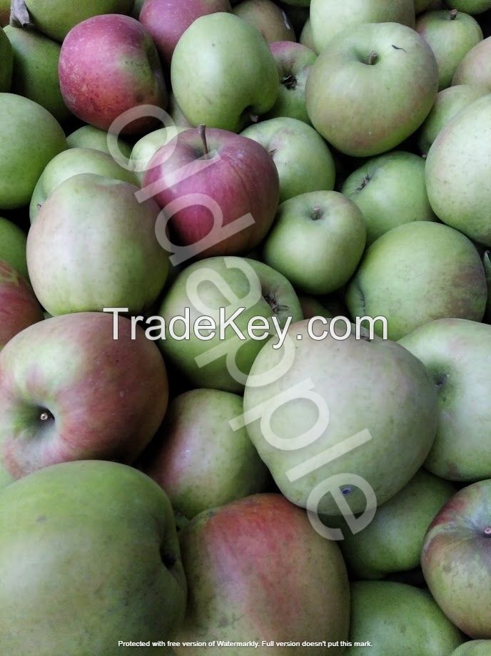 Organic apples bio eco with low sugar content for diabetics