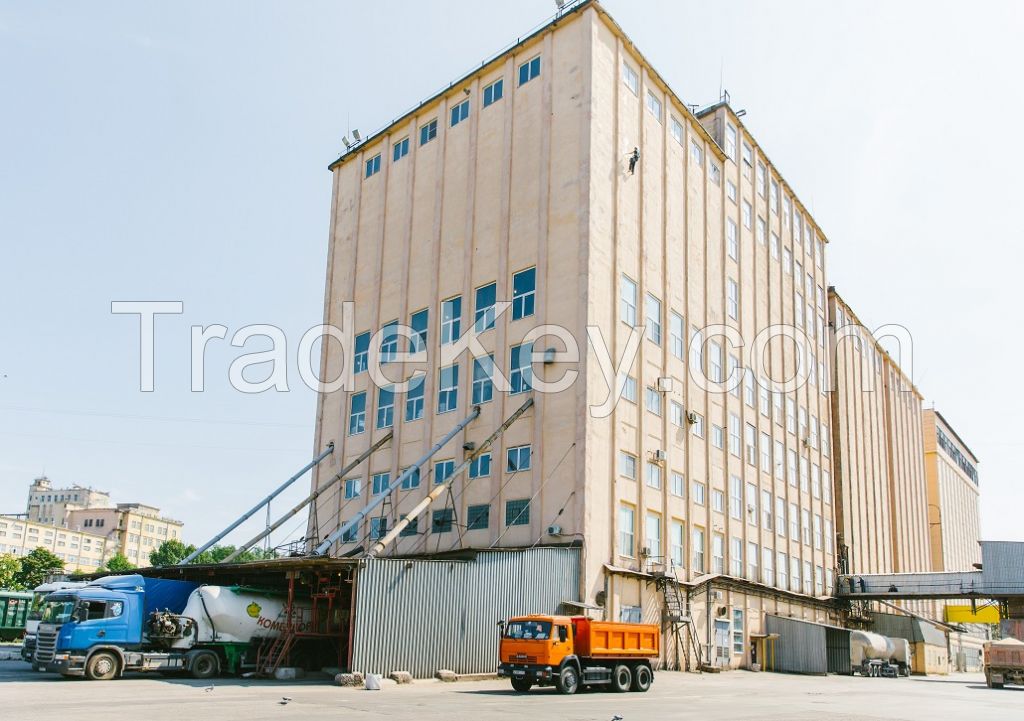 Wheat flour, rye flour, wheat bran