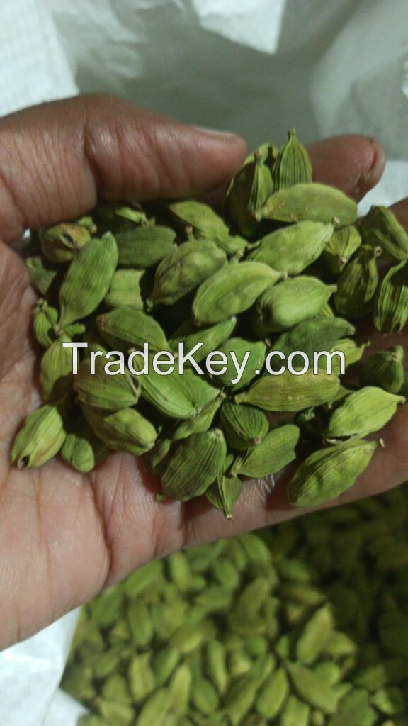 Green Cardamom pods