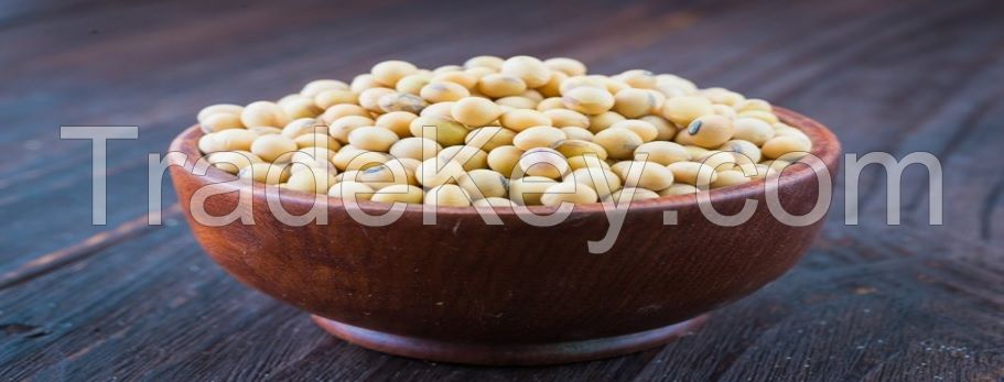 Soybean export 120190
