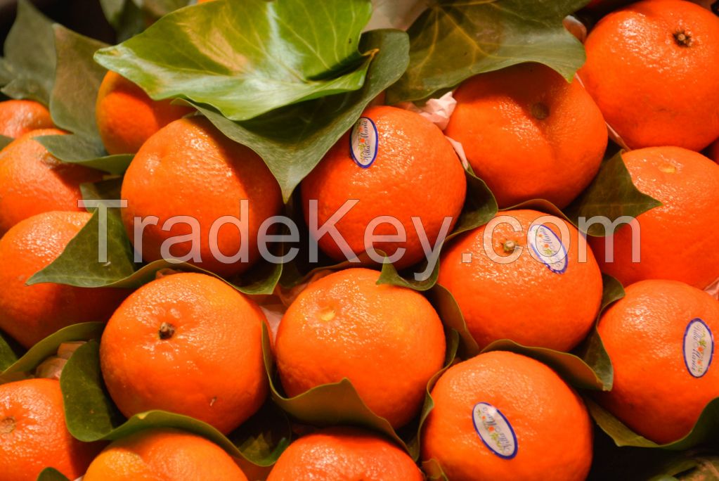 Fruits, Mandarin, Kinnow, Citrus