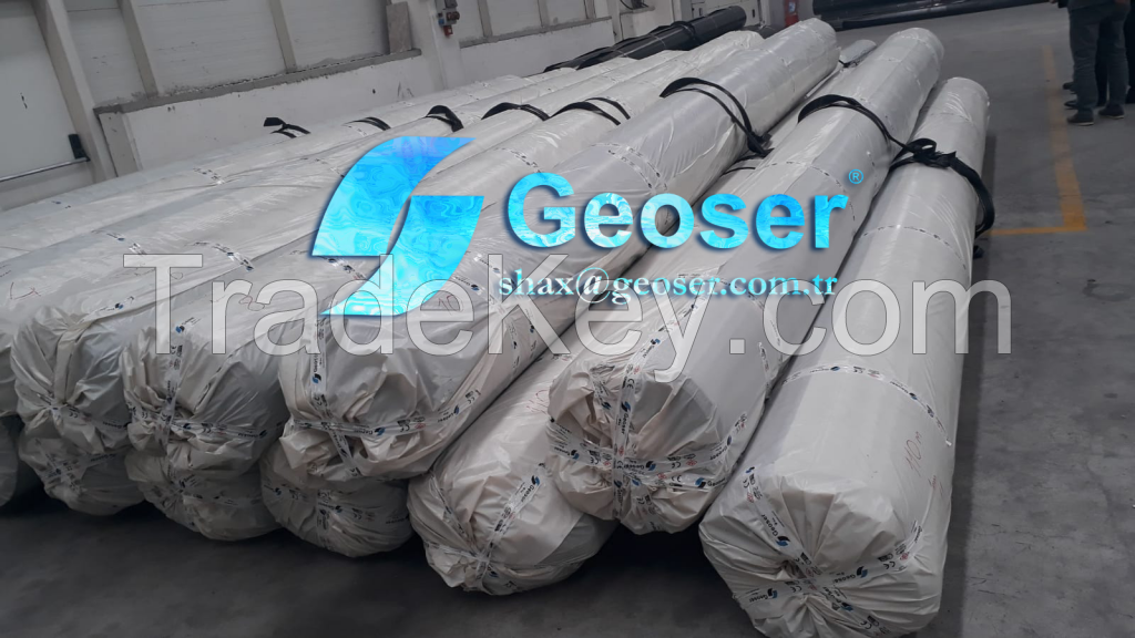 HDPE Geomembrane