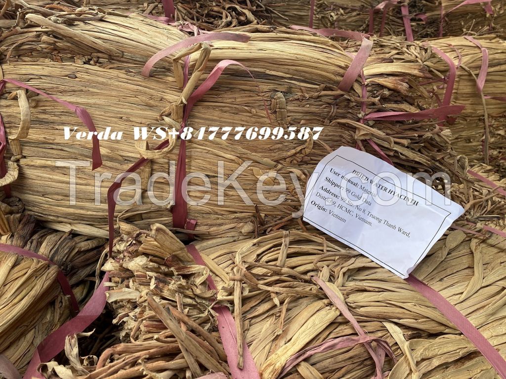DRIED RAW WATER HYACINTH MATERIAL FOR MAKING BASKET (WS+84777699587)
