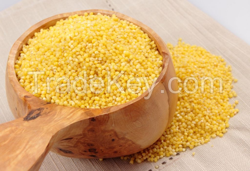 Supreme Quality Millet